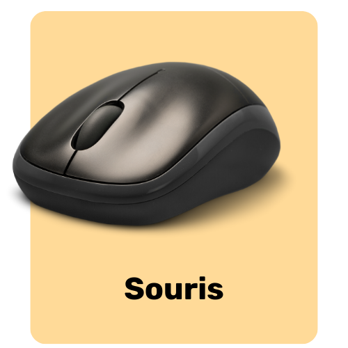 Souris