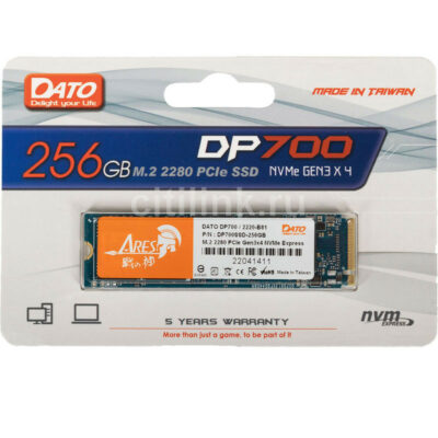 DISQUE DUR DATO DS700 256GB MVME